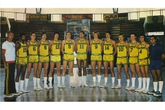 HOMETOWN_basket_great Ignis, Varese